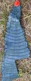 Caimon tail