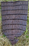Caimon tail