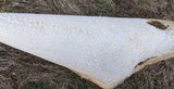 Unpolished Horn Sting Ray Skin (kairagi)