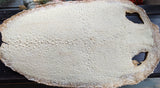 Unpolished Horn Sting Ray Skin (kairagi)