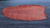 Beaver Tails