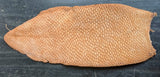 Beaver Tails