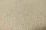 Horn Sting Ray Skin (Kairagi)