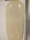 Long Type Sting Ray Skin 12 Inch Wide (20+inches long)