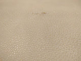 Long Type Sting Ray Skin 12 Inch Wide (20+inches long)
