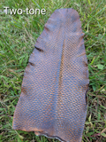Beaver Tails