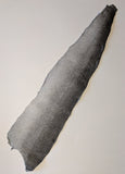Salmon fish leather