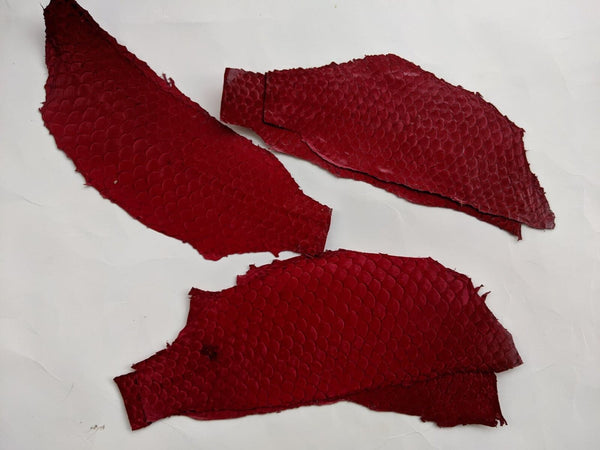 Tilapia fish leather