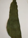 Salmon fish leather