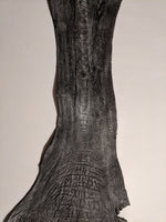 Ostrich Leg