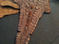 Snapping Turtle leather