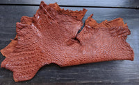 Snapping Turtle leather