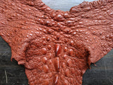 Snapping Turtle leather